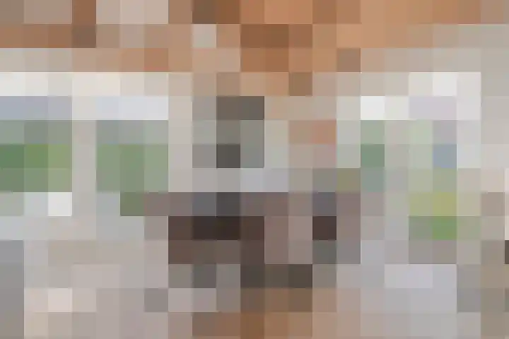 Steenfabriek 2 Gilze thumbnail 17