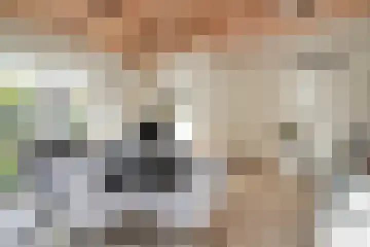 Steenfabriek 2 Gilze thumbnail 19