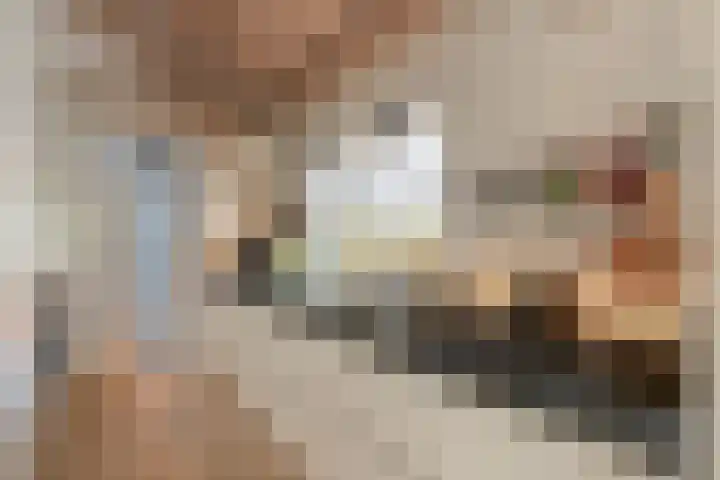 Steenfabriek 2 Gilze thumbnail 21