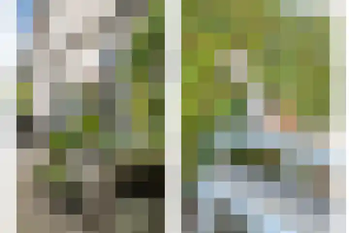 Steenfabriek 2 Gilze thumbnail 42