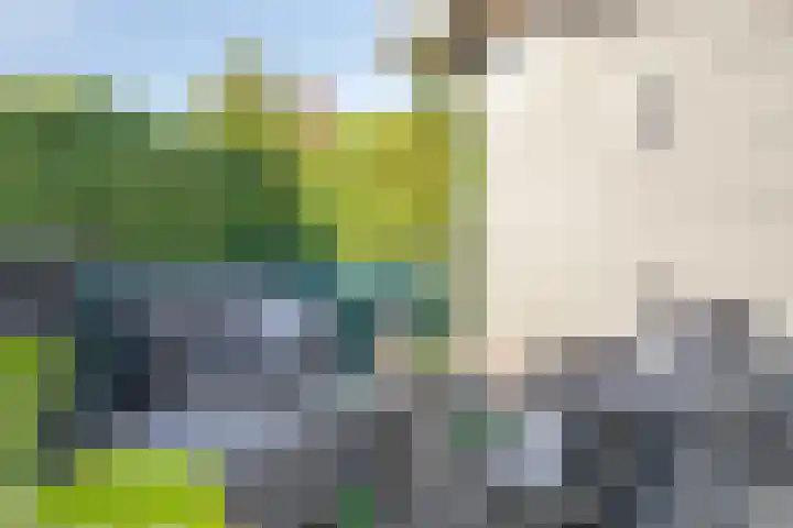 Steenfabriek 2 Gilze thumbnail 43
