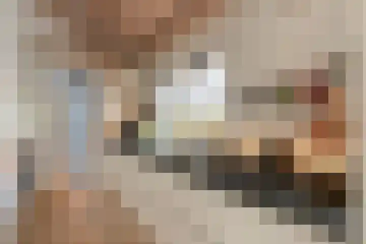 Steenfabriek 2 Gilze thumbnail 5