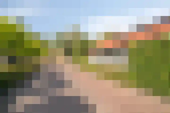 Steenfabriek 2 Gilze thumbnail 50