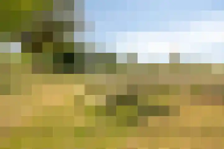 Steenfabriek 2 Gilze thumbnail 57