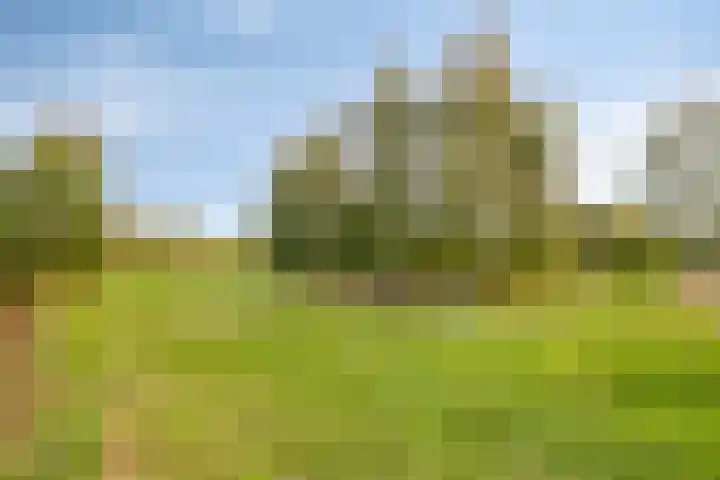 Steenfabriek 2 Gilze thumbnail 58