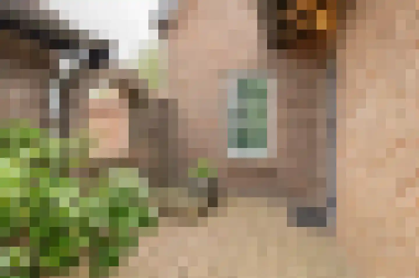 Steenfabriek 3 Heesselt thumbnail 23