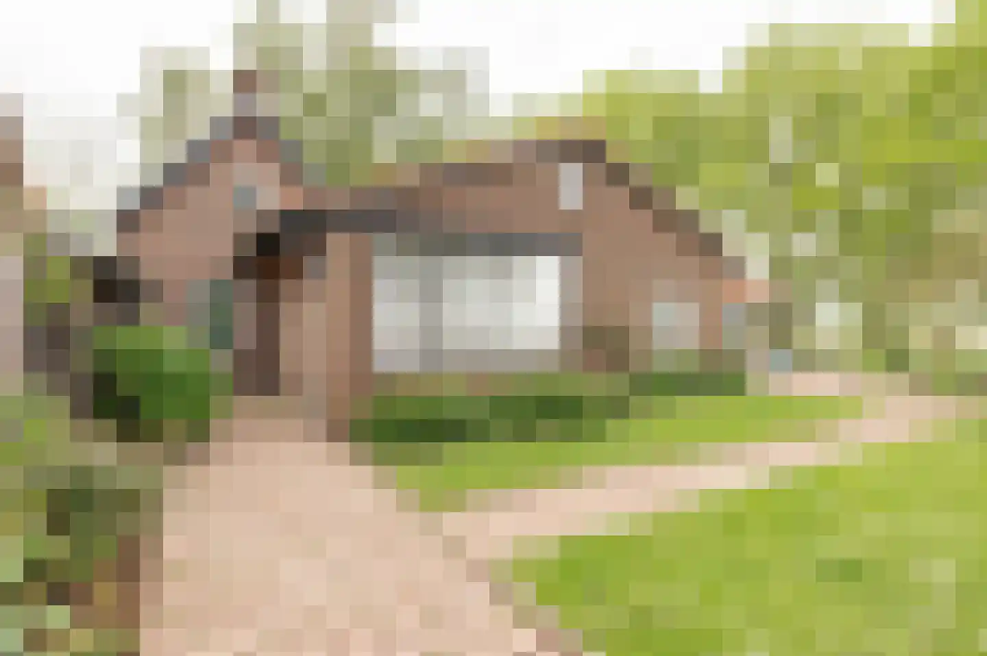 Steenfabriek 3 Heesselt thumbnail 24