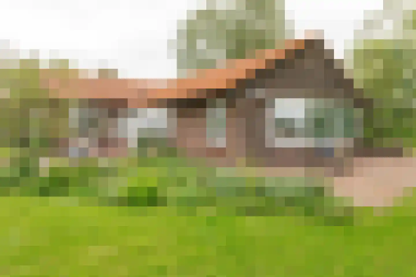 Steenfabriek 3 Heesselt thumbnail 28