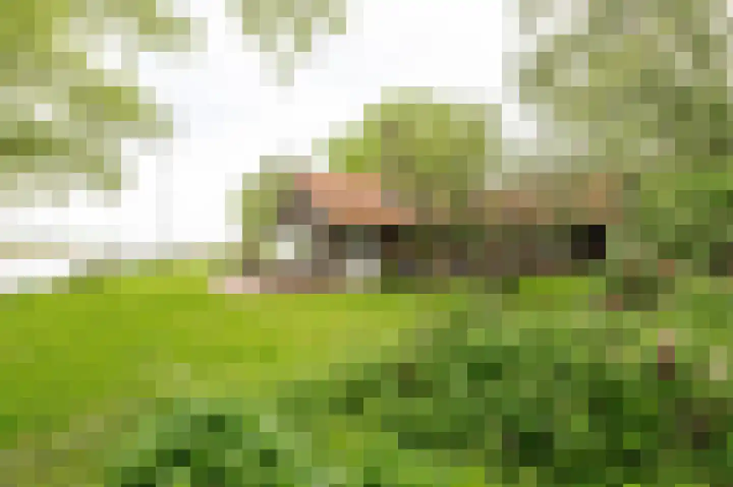 Steenfabriek 3 Heesselt thumbnail 32