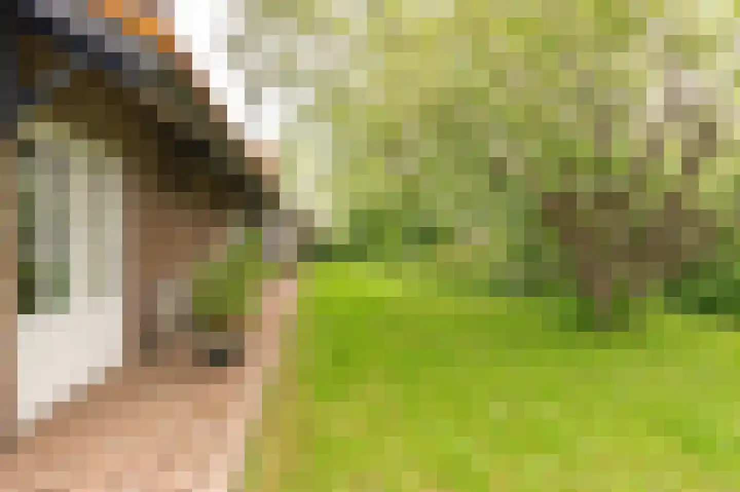 Steenfabriek 3 Heesselt thumbnail 34