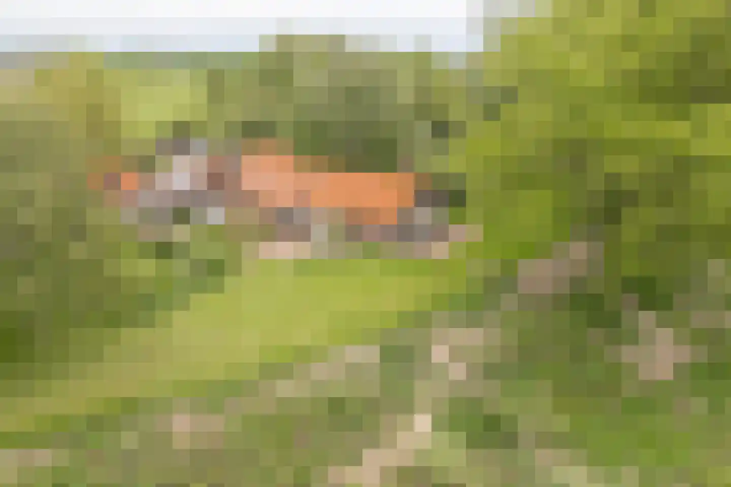 Steenfabriek 3 Heesselt thumbnail 36