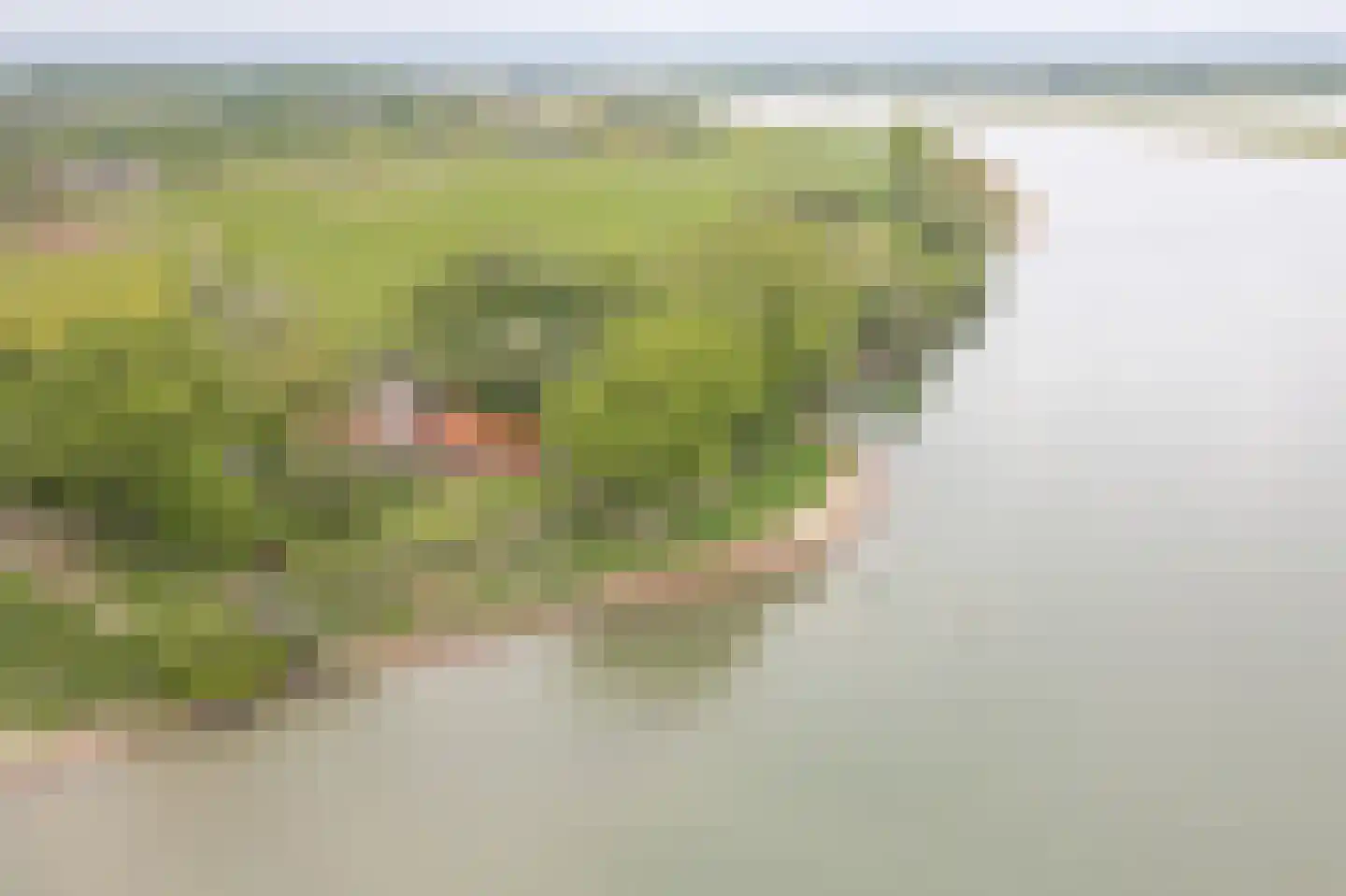 Steenfabriek 3 Heesselt thumbnail 37