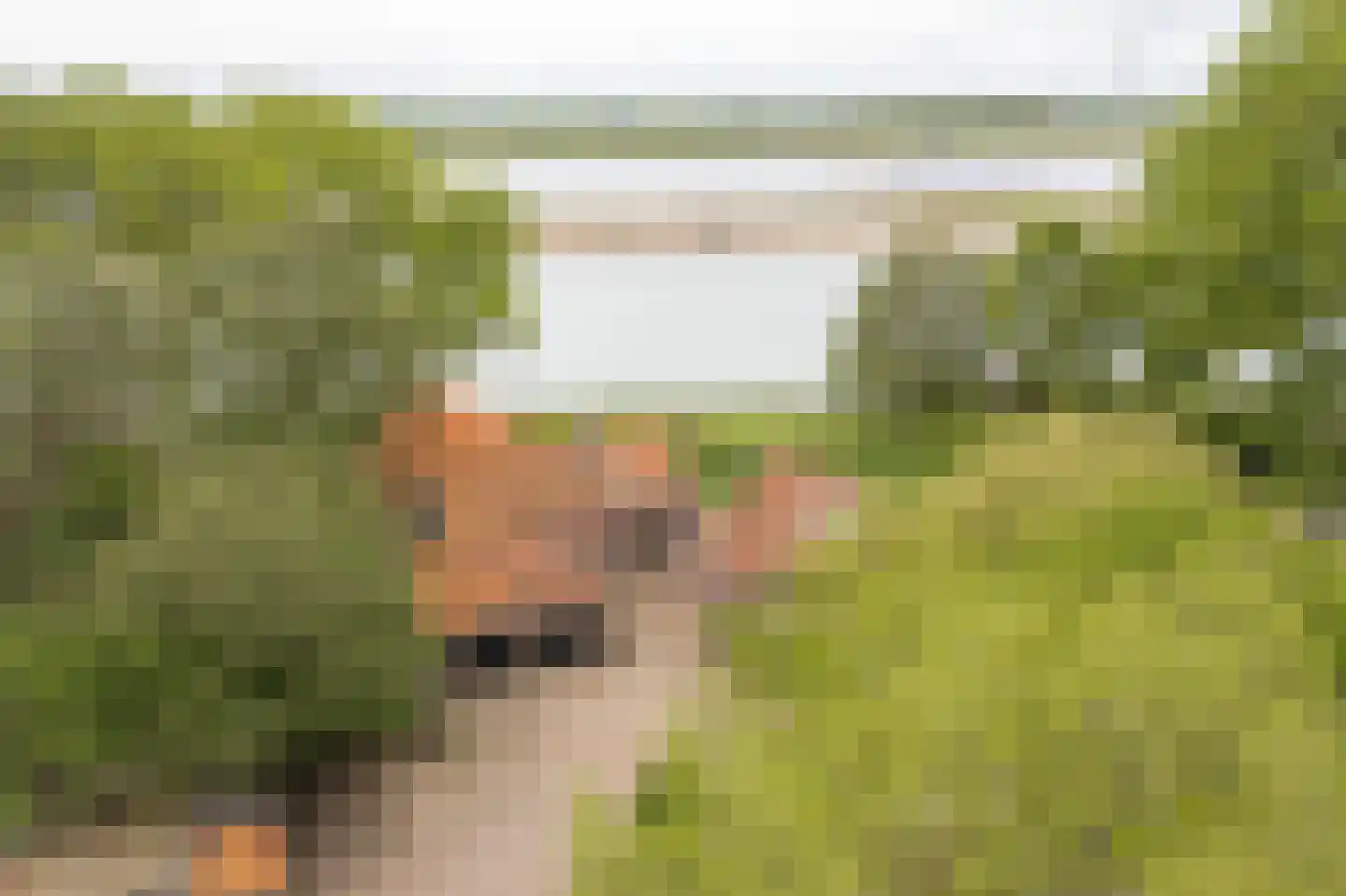 Steenfabriek 3 Heesselt thumbnail 39