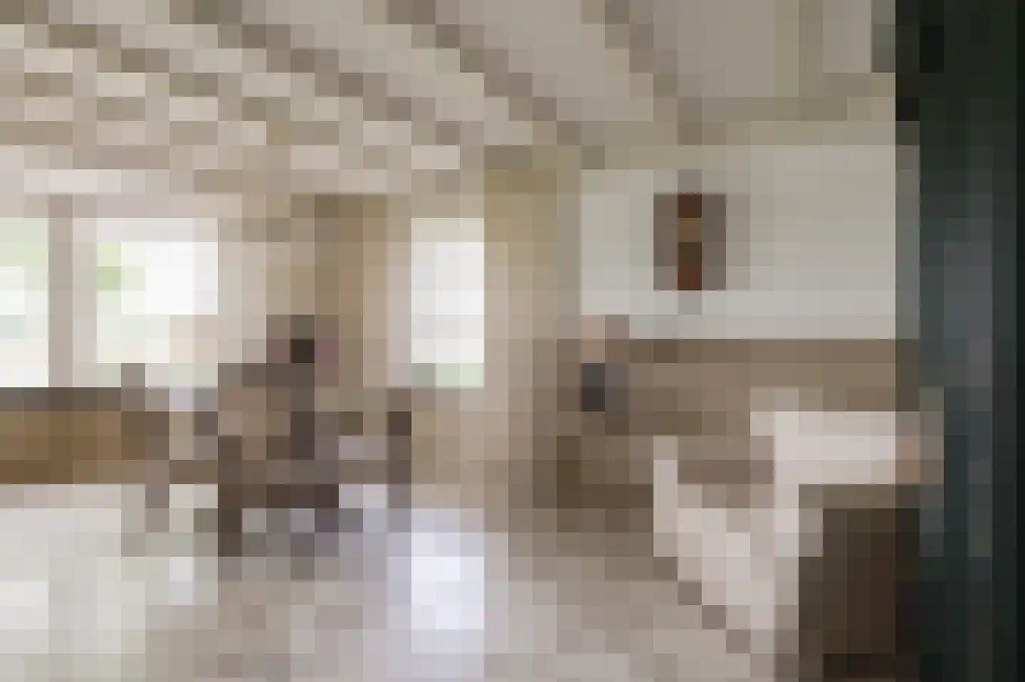 Steenfabriek 3 Heesselt thumbnail 8