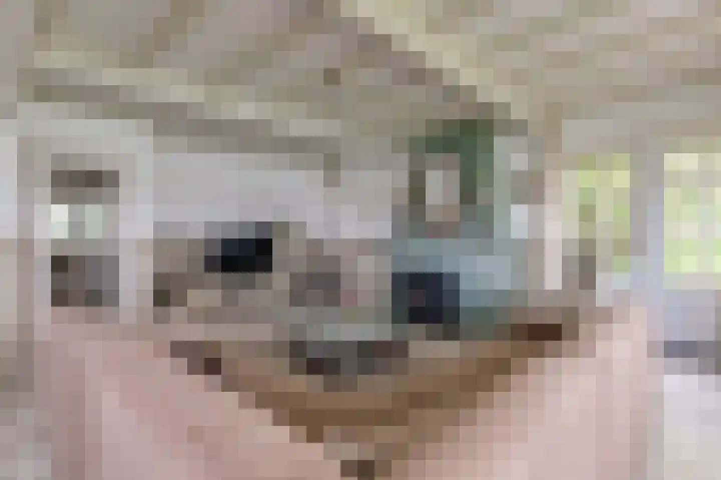 Steenfabriek 3 Heesselt thumbnail 9