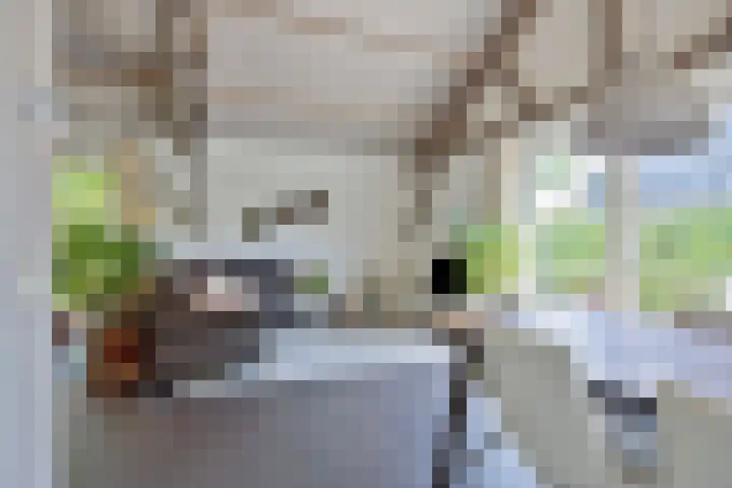 Steenfabriek 4 Gilze thumbnail 14