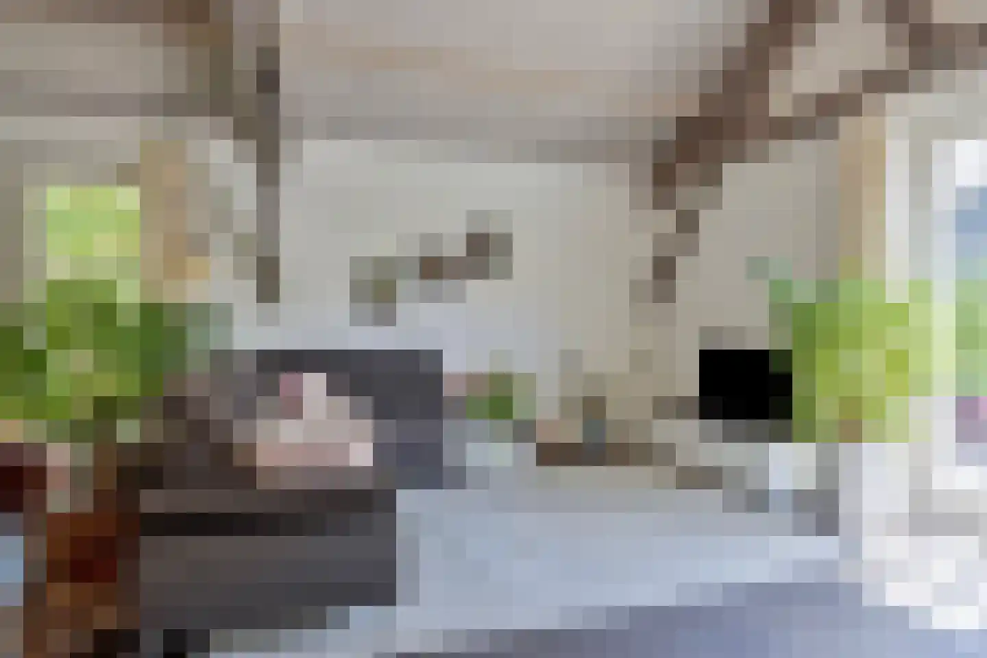 Steenfabriek 4 Gilze thumbnail 15
