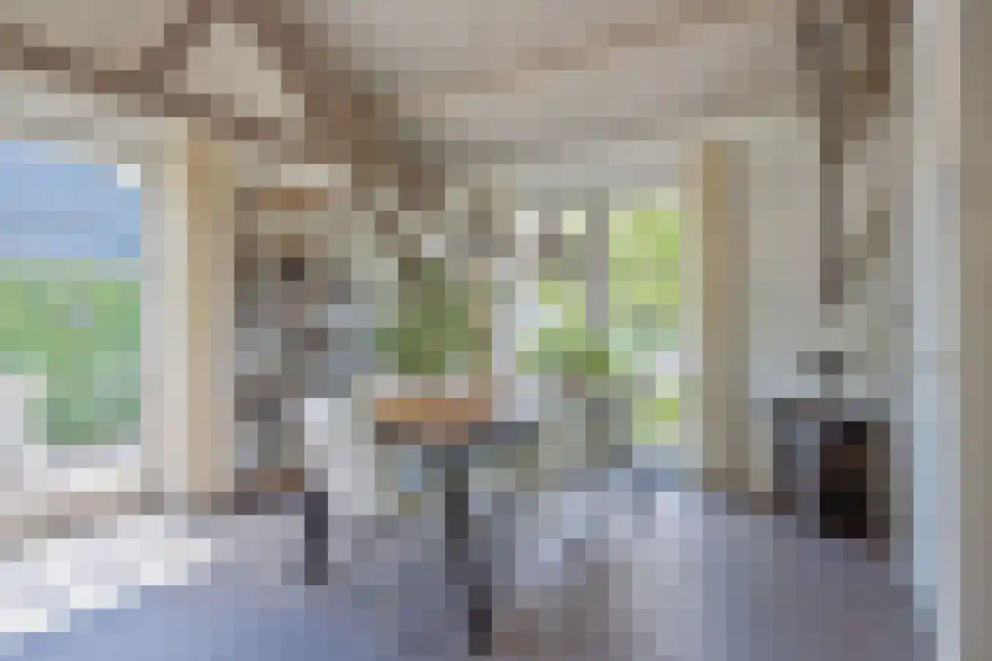 Steenfabriek 4 Gilze thumbnail 16