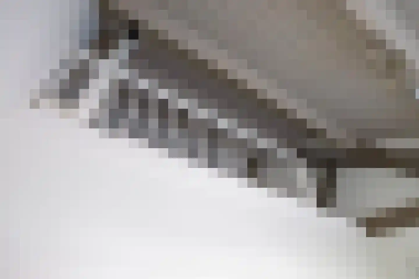 Steenfabriek 4 Gilze thumbnail 47