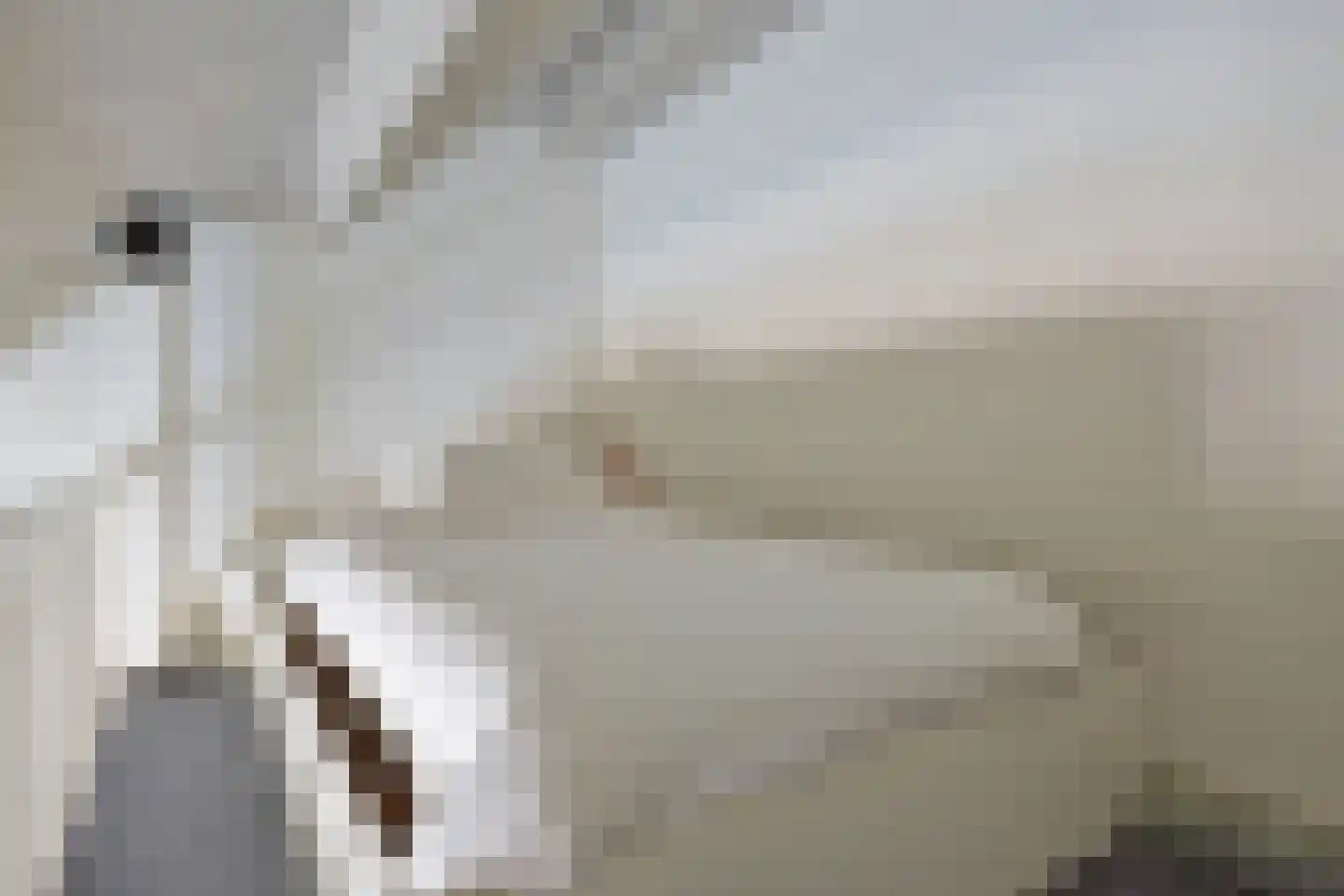 Steenfabriek 4 Gilze thumbnail 48