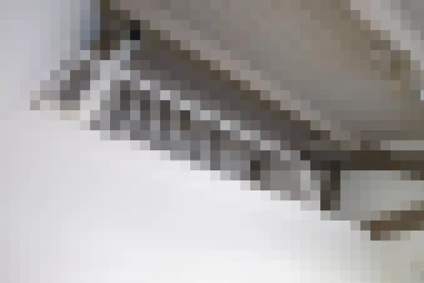 Steenfabriek 4 Gilze thumbnail 48