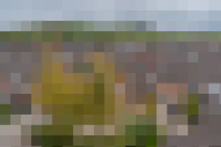 Steengang 37 Landgraaf thumbnail 34