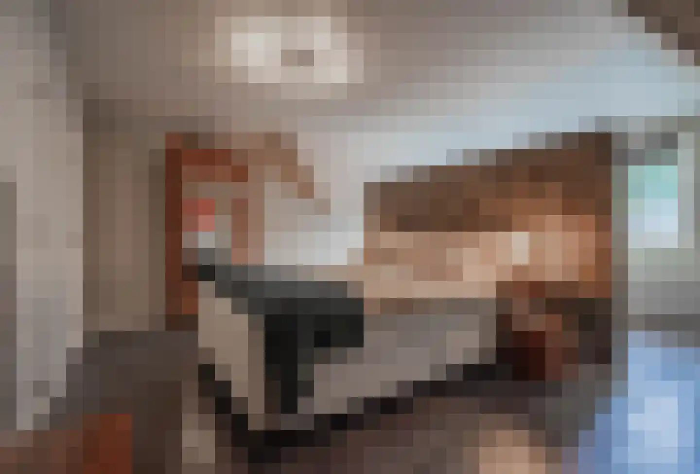 Steengoed 23 Bakel thumbnail 28