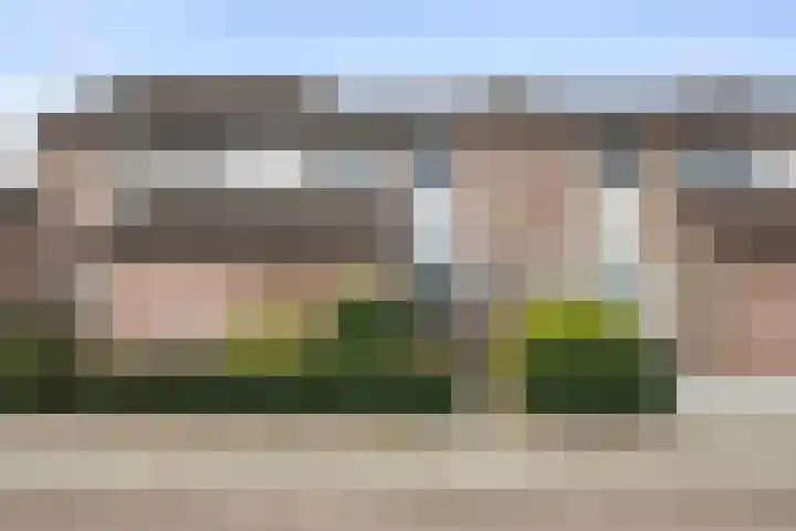 Steengraaf 20 Erp