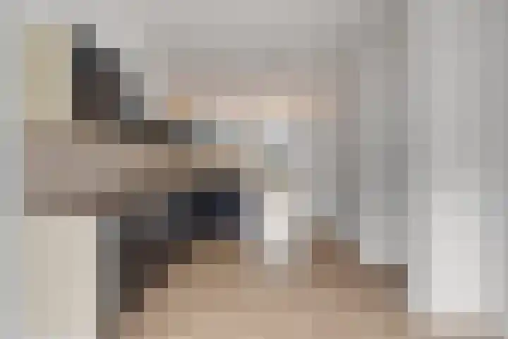 Steengraaf 20 Erp thumbnail 11
