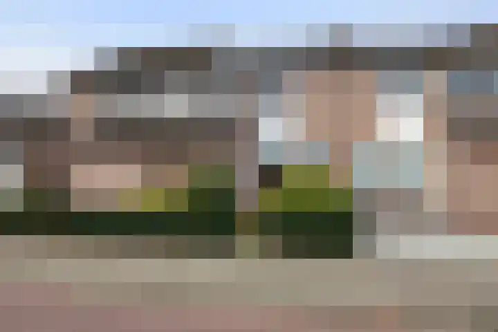 Steengraaf 20 Erp thumbnail 26