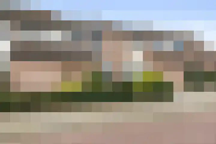 Steengraaf 20 Erp thumbnail 5