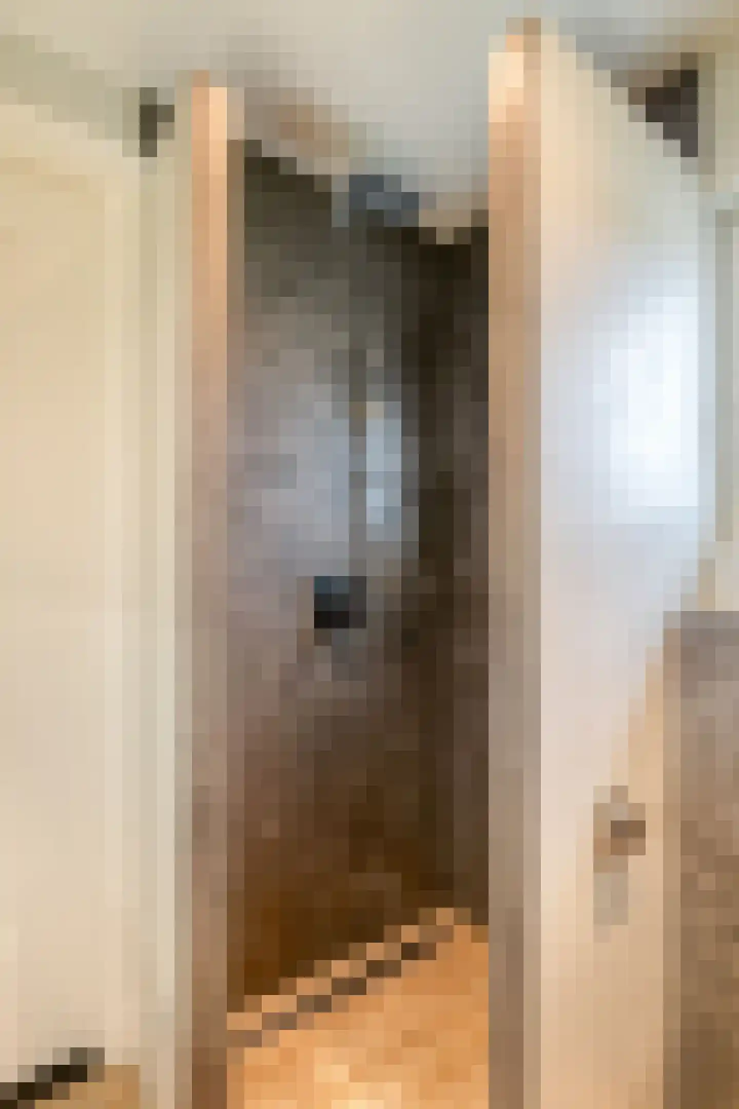 Steengraaf 25 Erp thumbnail 29
