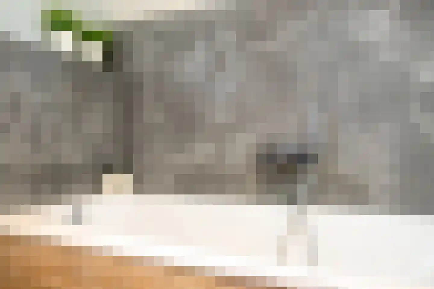 Steengraaf 25 Erp thumbnail 31