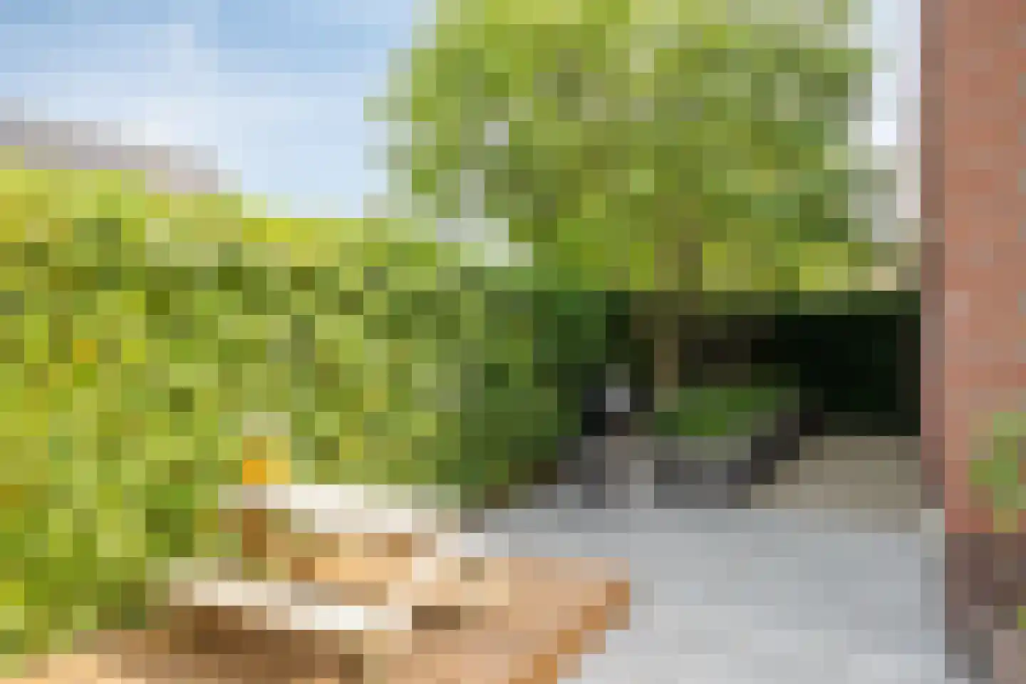 Steengraaf 25 Erp thumbnail 37