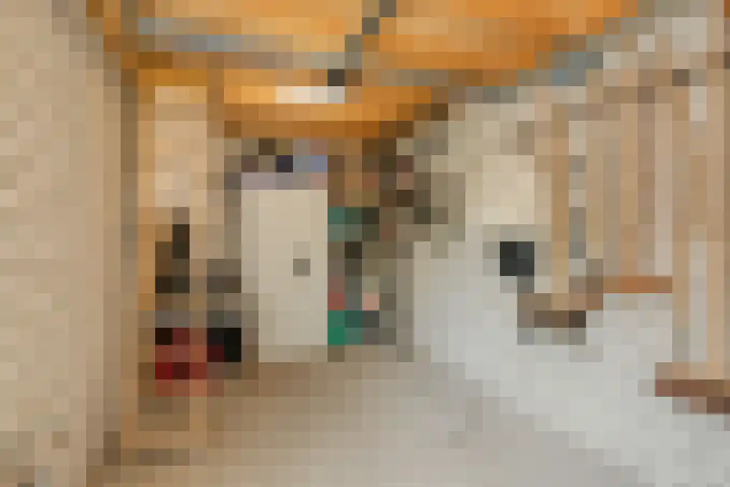 Steengraaf 25 Erp thumbnail 43