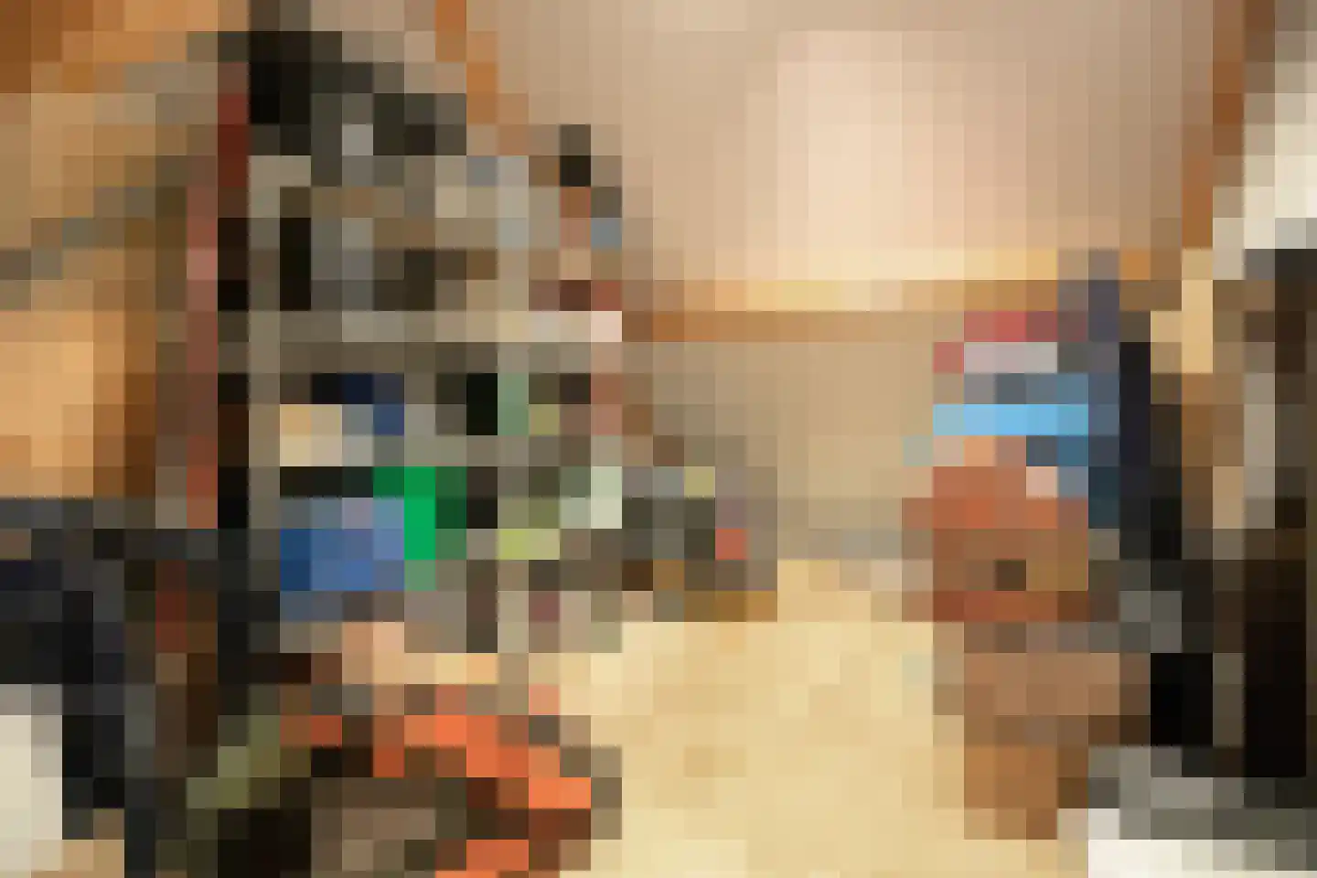 Steengraaf 25 Erp thumbnail 44