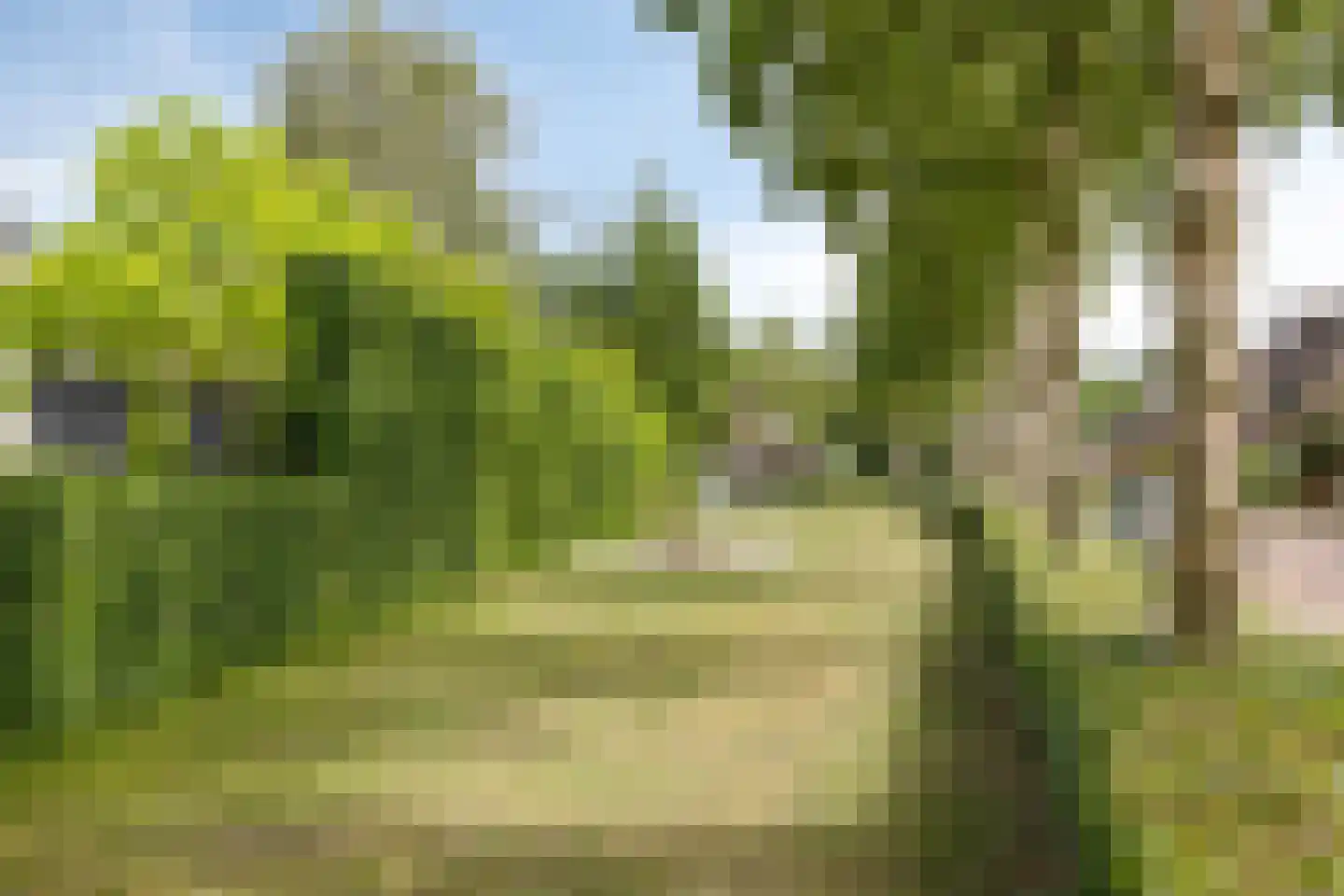 Steengraaf 25 Erp thumbnail 45