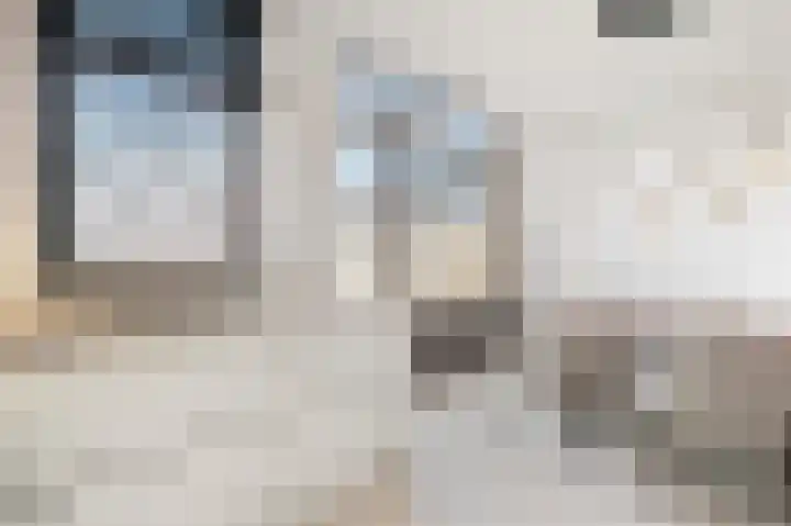 Steengracht 31 Den Helder thumbnail 18
