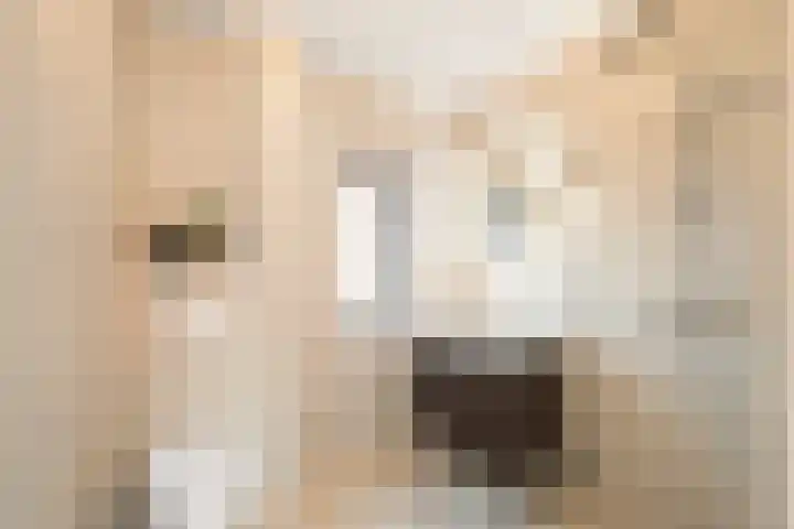 Steengracht 31 Den Helder thumbnail 25