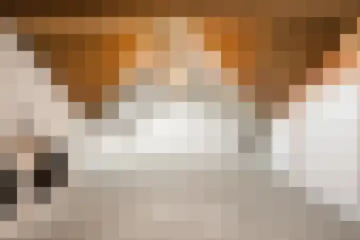 Steengracht 31 Den Helder thumbnail 31