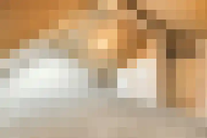 Steengracht 31 Den Helder thumbnail 32