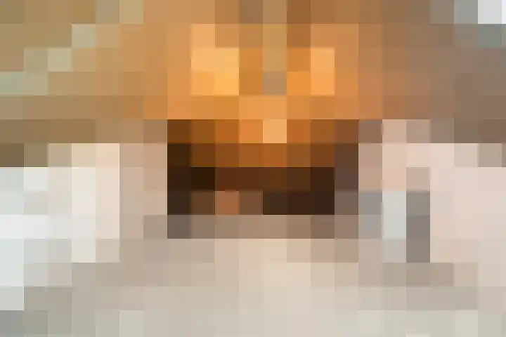 Steengracht 31 Den Helder thumbnail 33