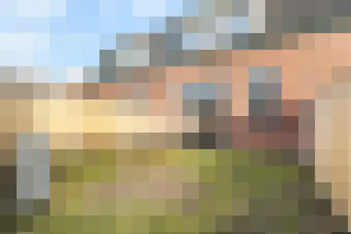 Steengracht 31 Den Helder thumbnail 35