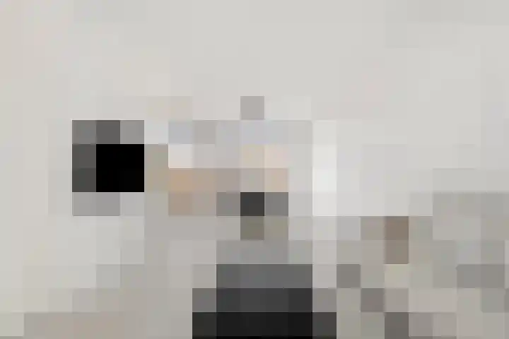 Steengracht 31 Den Helder thumbnail 8