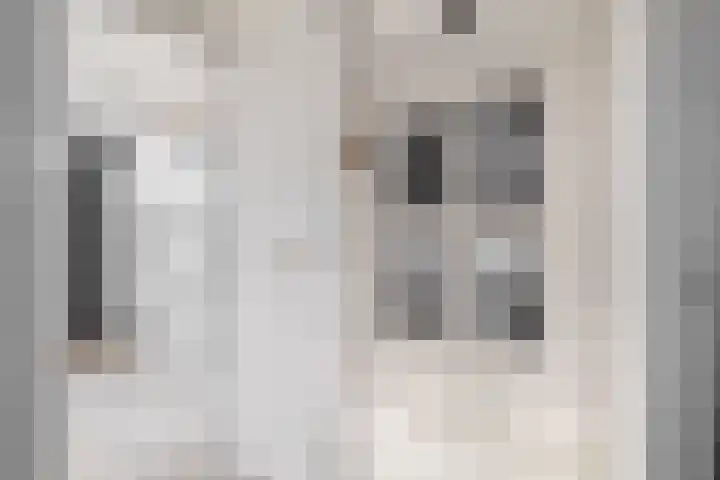 Steengracht 4 Den Helder thumbnail 10