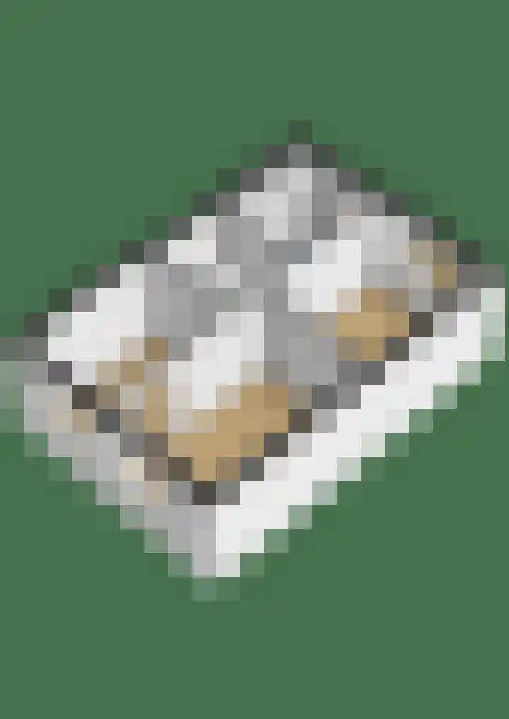 Steengracht 4 Den Helder thumbnail 23