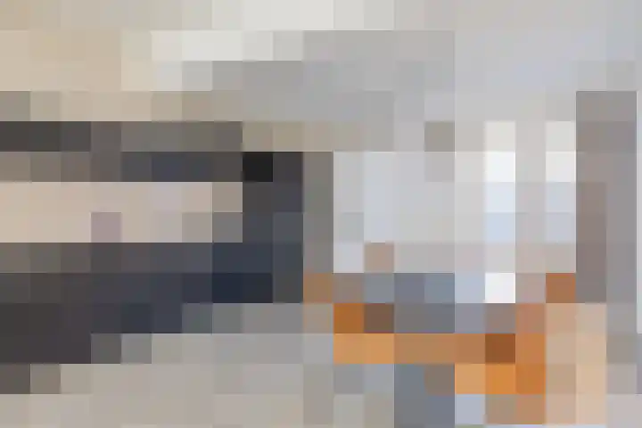Steengracht 4 Den Helder thumbnail 4