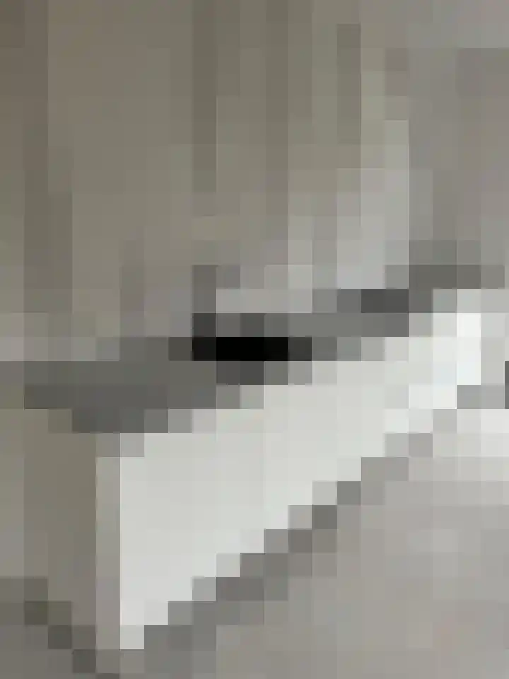 Steengracht 4 Den Helder thumbnail 6