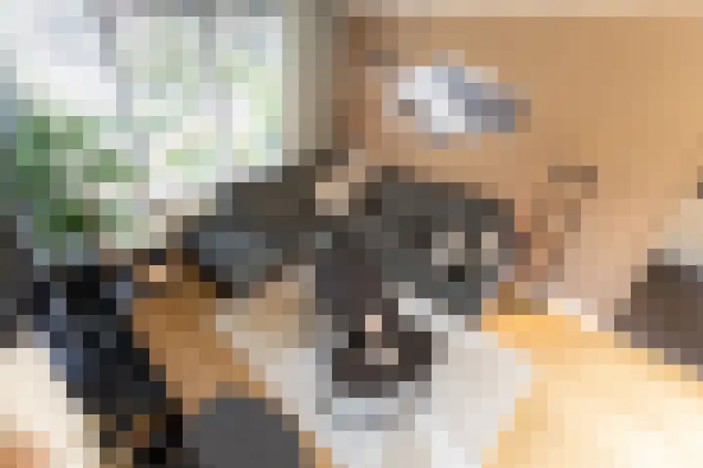 Steengrachtstraat 19 Terborg thumbnail 13