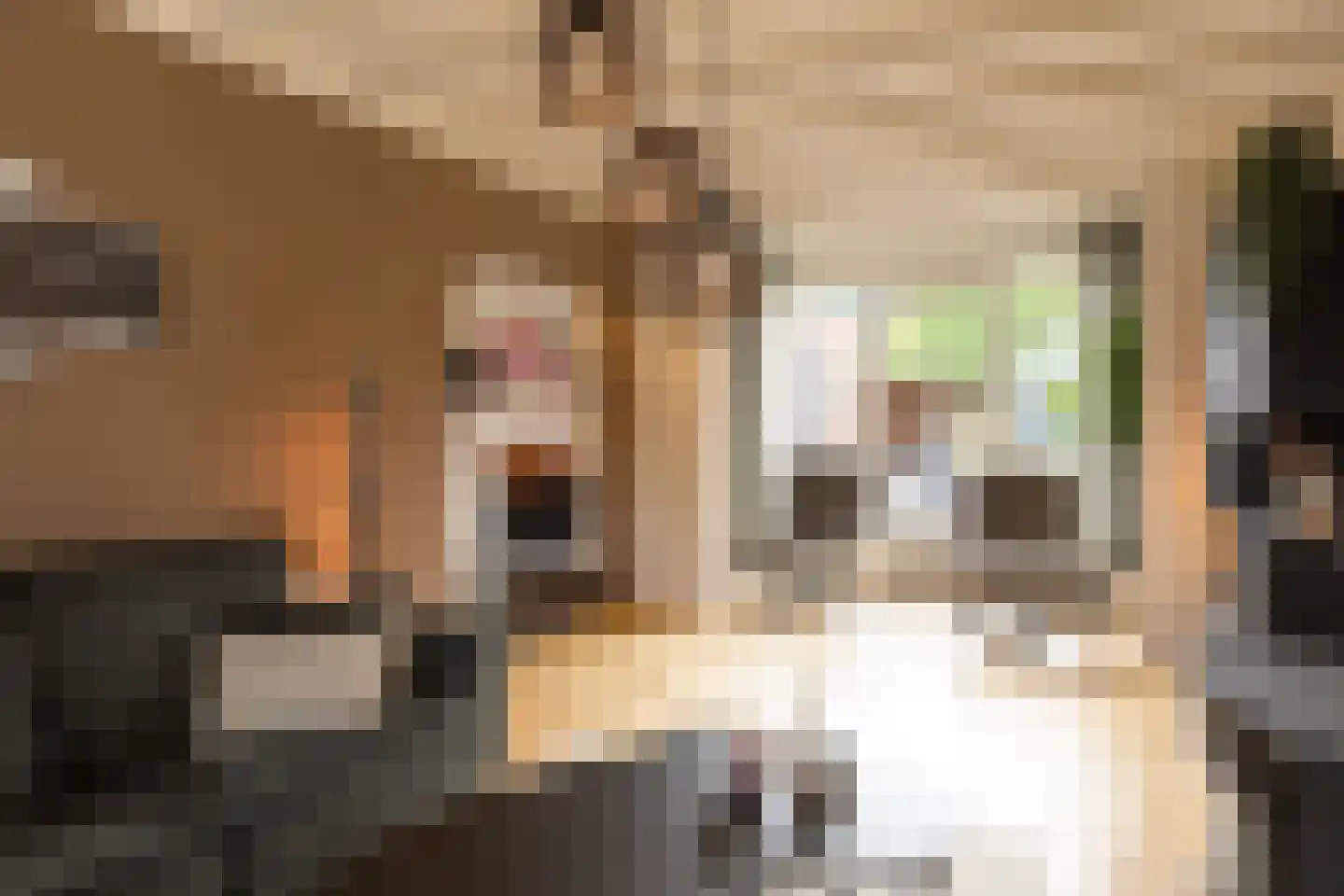 Steengrachtstraat 19 Terborg thumbnail 14